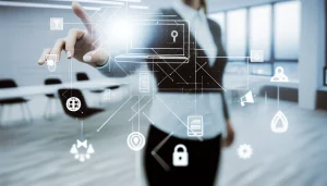 Programador-WordPress-rypido-Zona-Norte