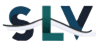 SLV Consultoria  (1)